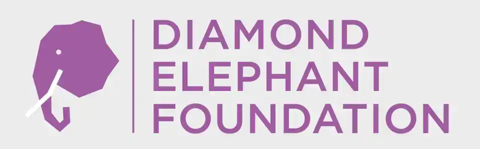 The Diamond Elephant Foundation